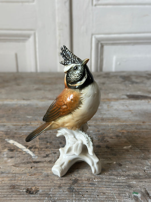 L’oiseau huppé