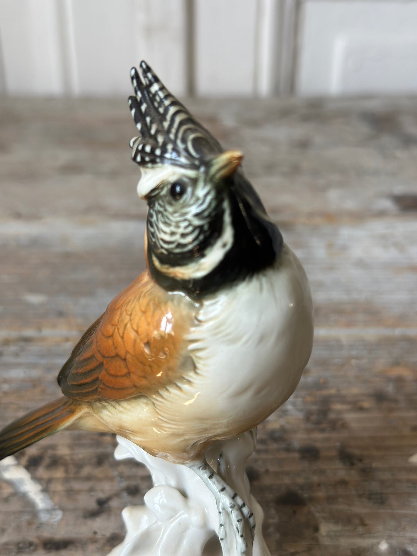 L’oiseau huppé