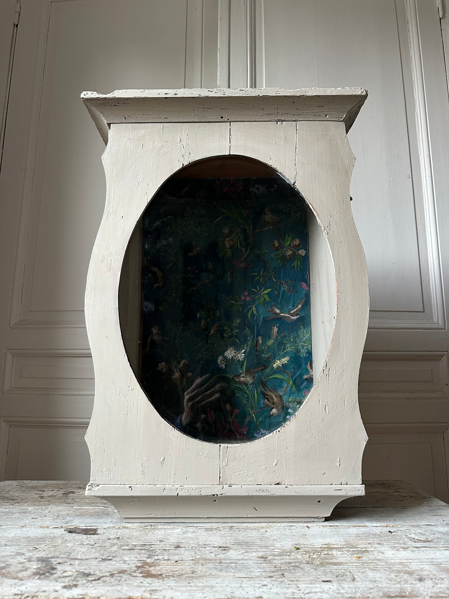 Vitrine aux oiseaux