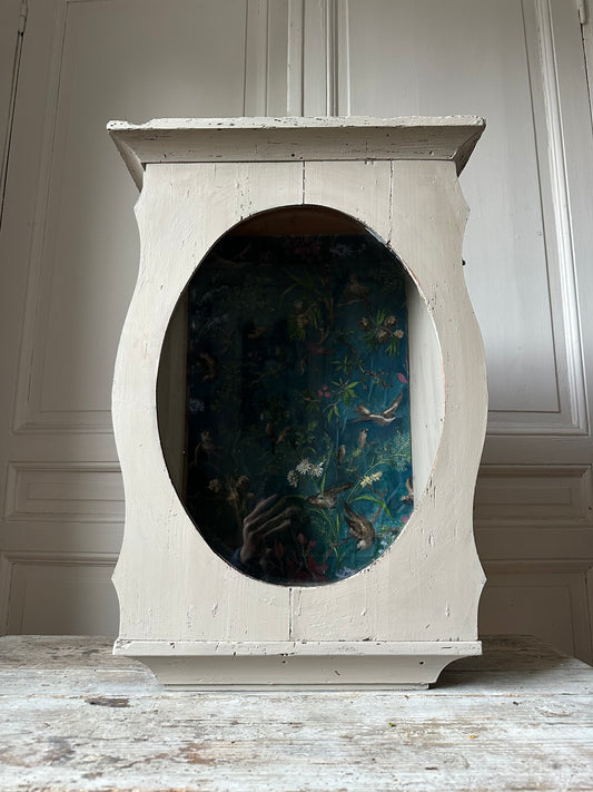 Vitrine aux oiseaux