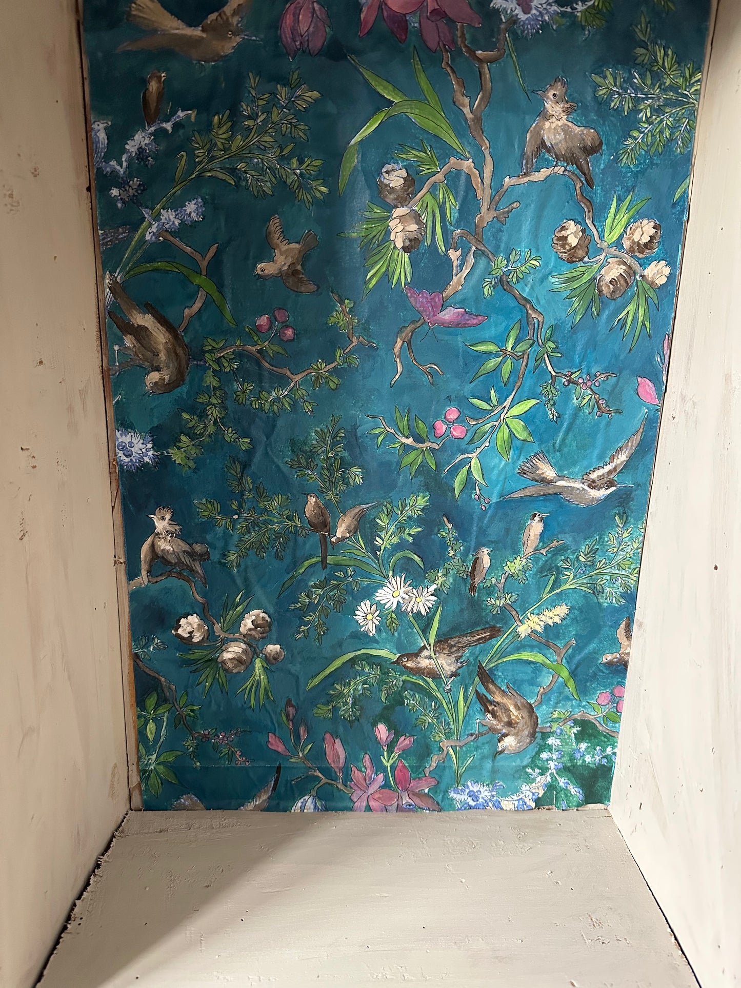 Vitrine aux oiseaux