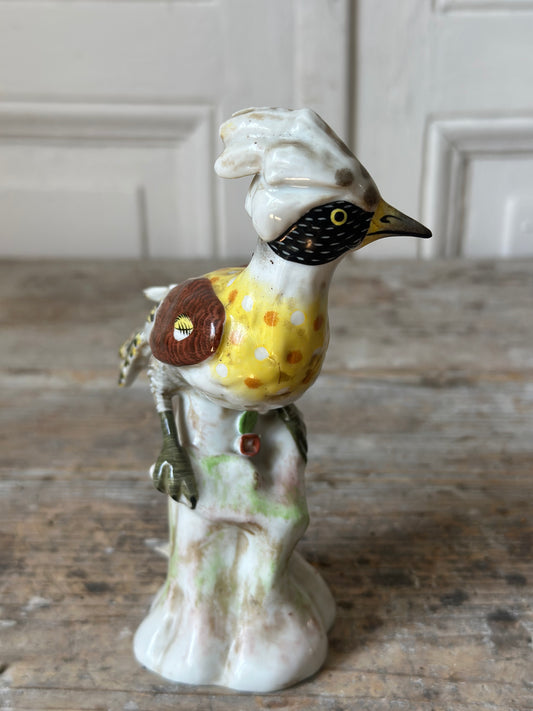L’oiseau noir et jaune