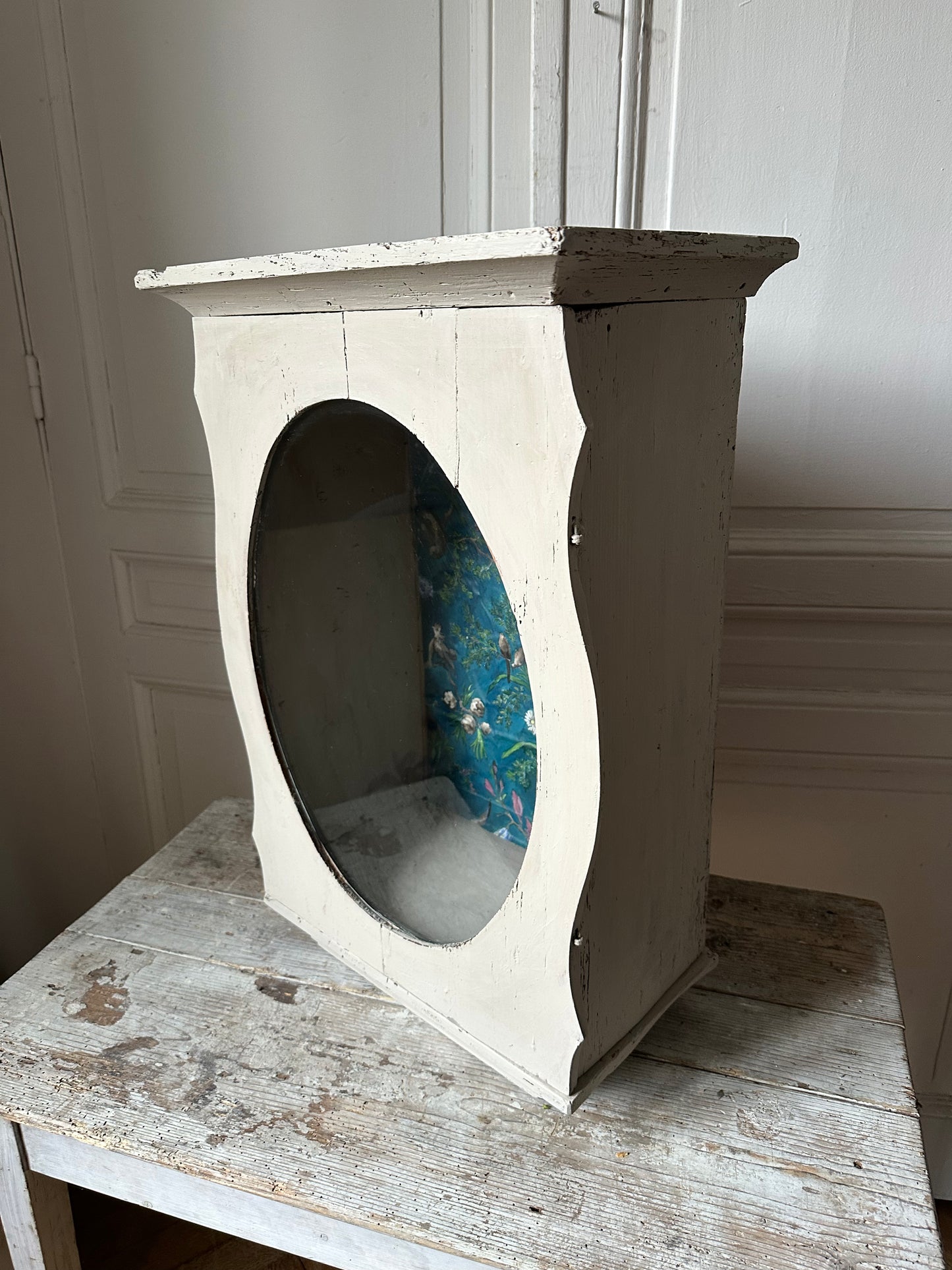 Vitrine aux oiseaux
