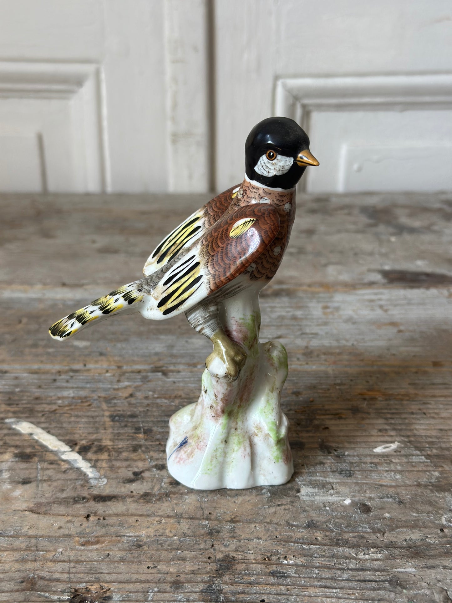 L’oiseau à tête noire