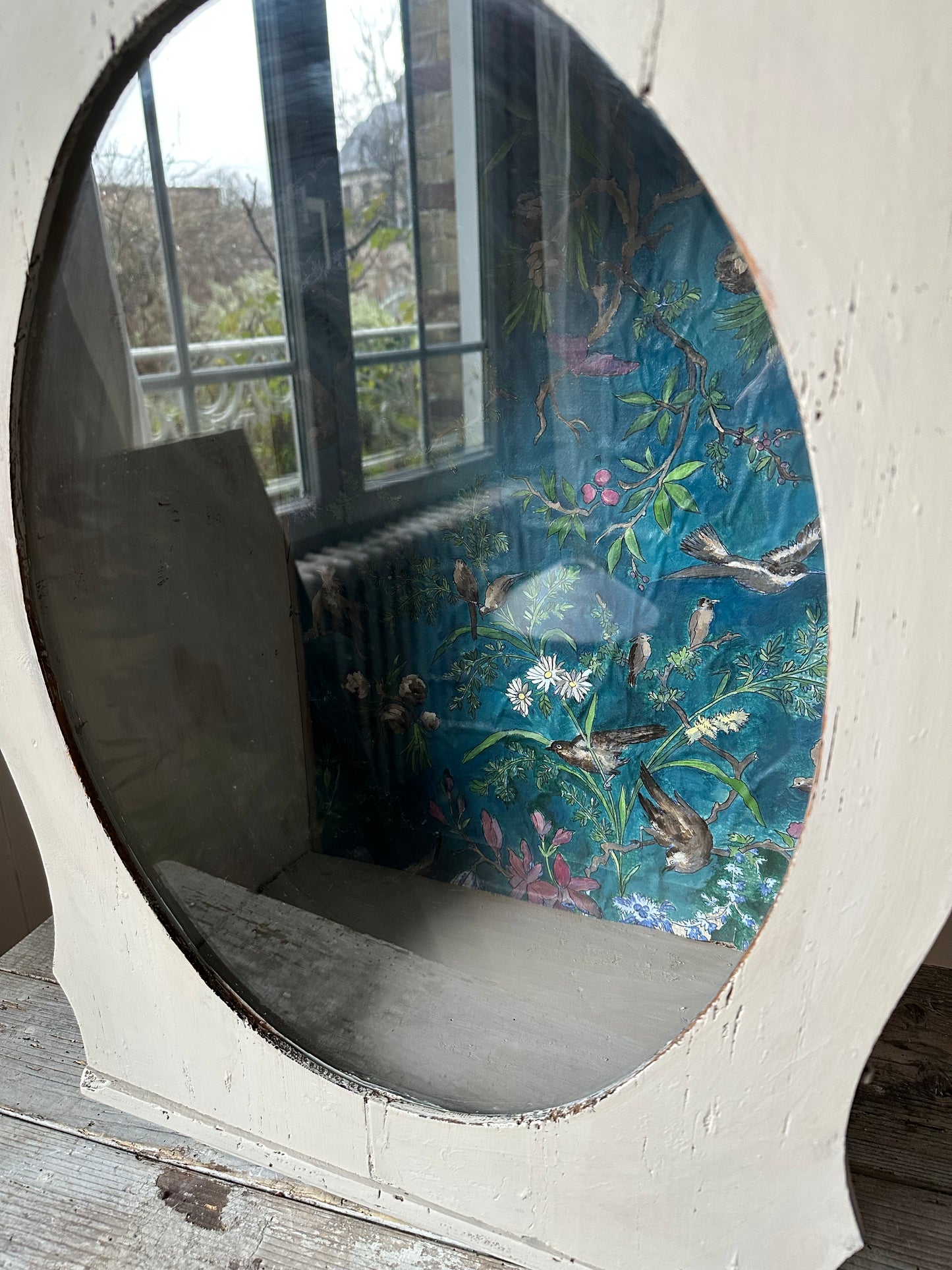 Vitrine aux oiseaux