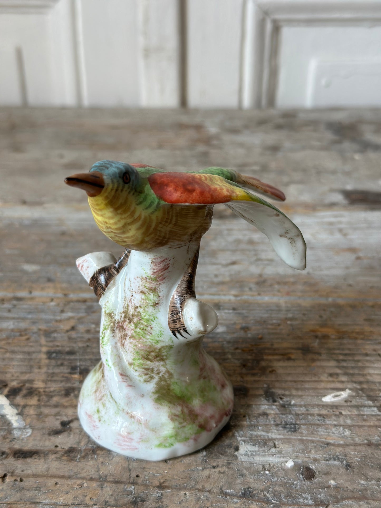 L’oiseau coloré