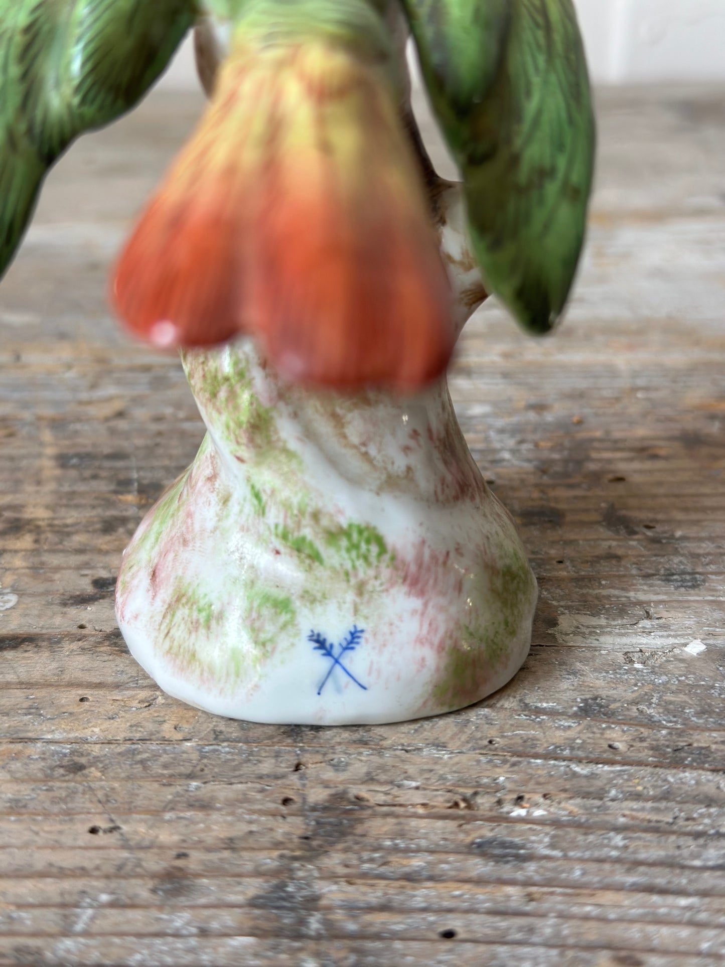 L’oiseau coloré