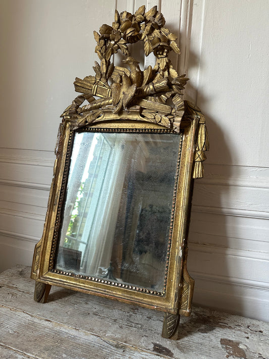 Miroir aux oiseaux
