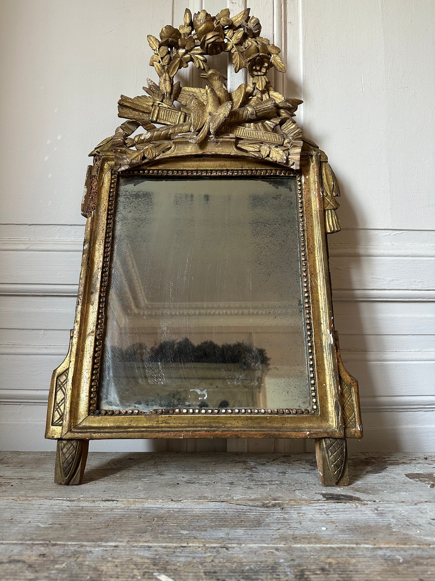 Miroir aux oiseaux