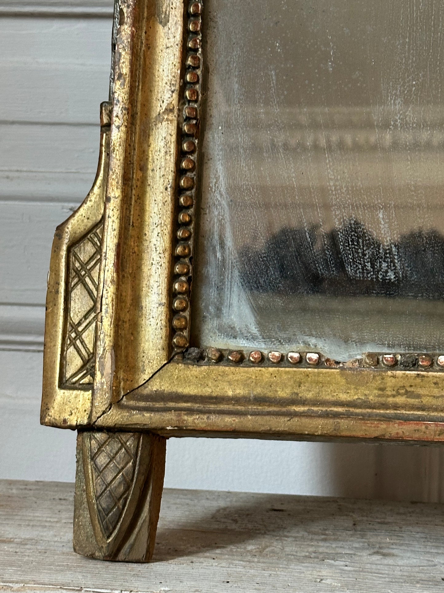 Miroir aux oiseaux