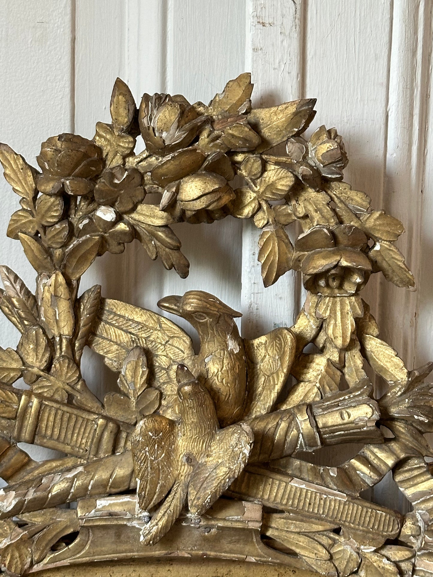 Miroir aux oiseaux