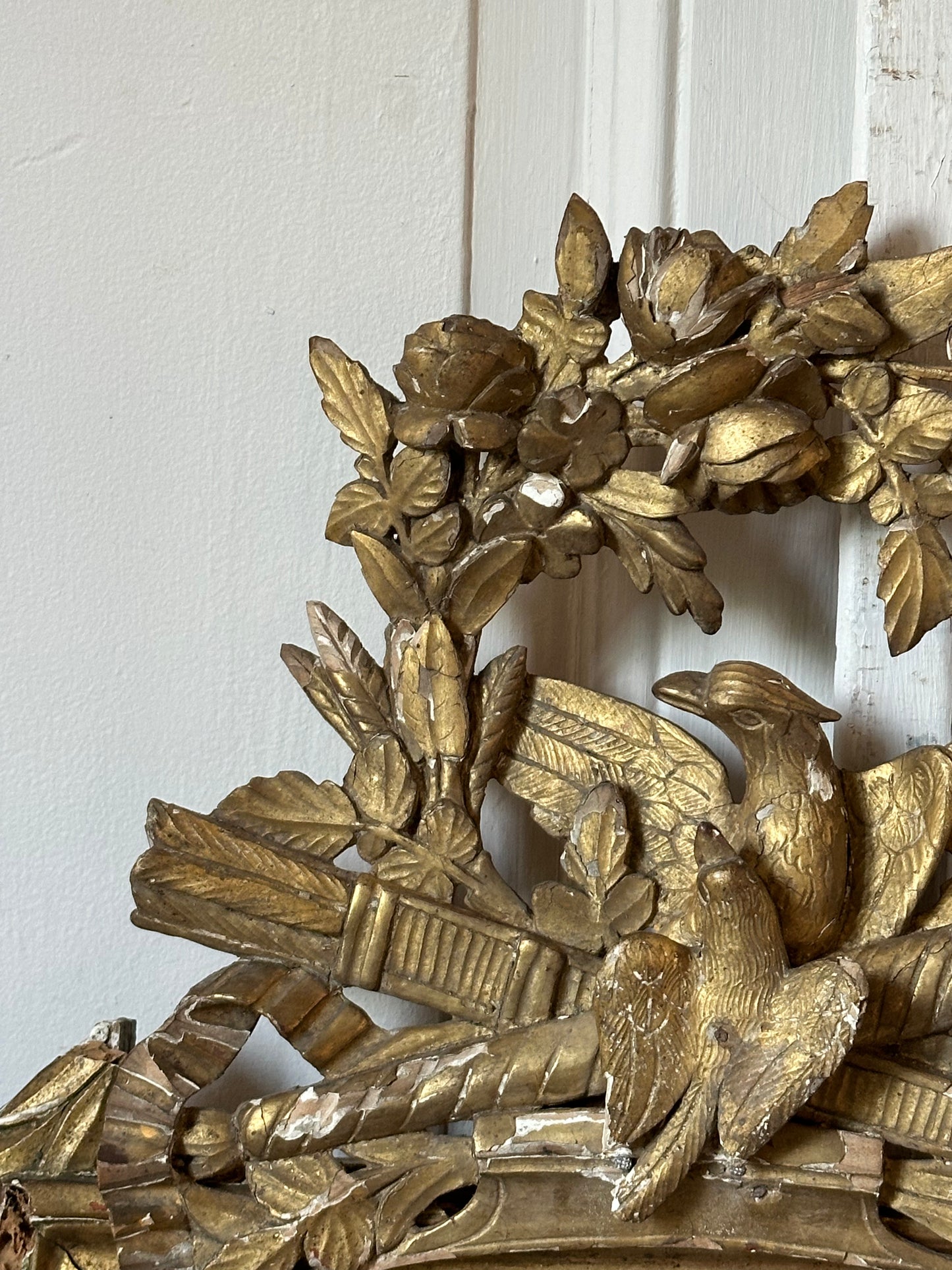 Miroir aux oiseaux