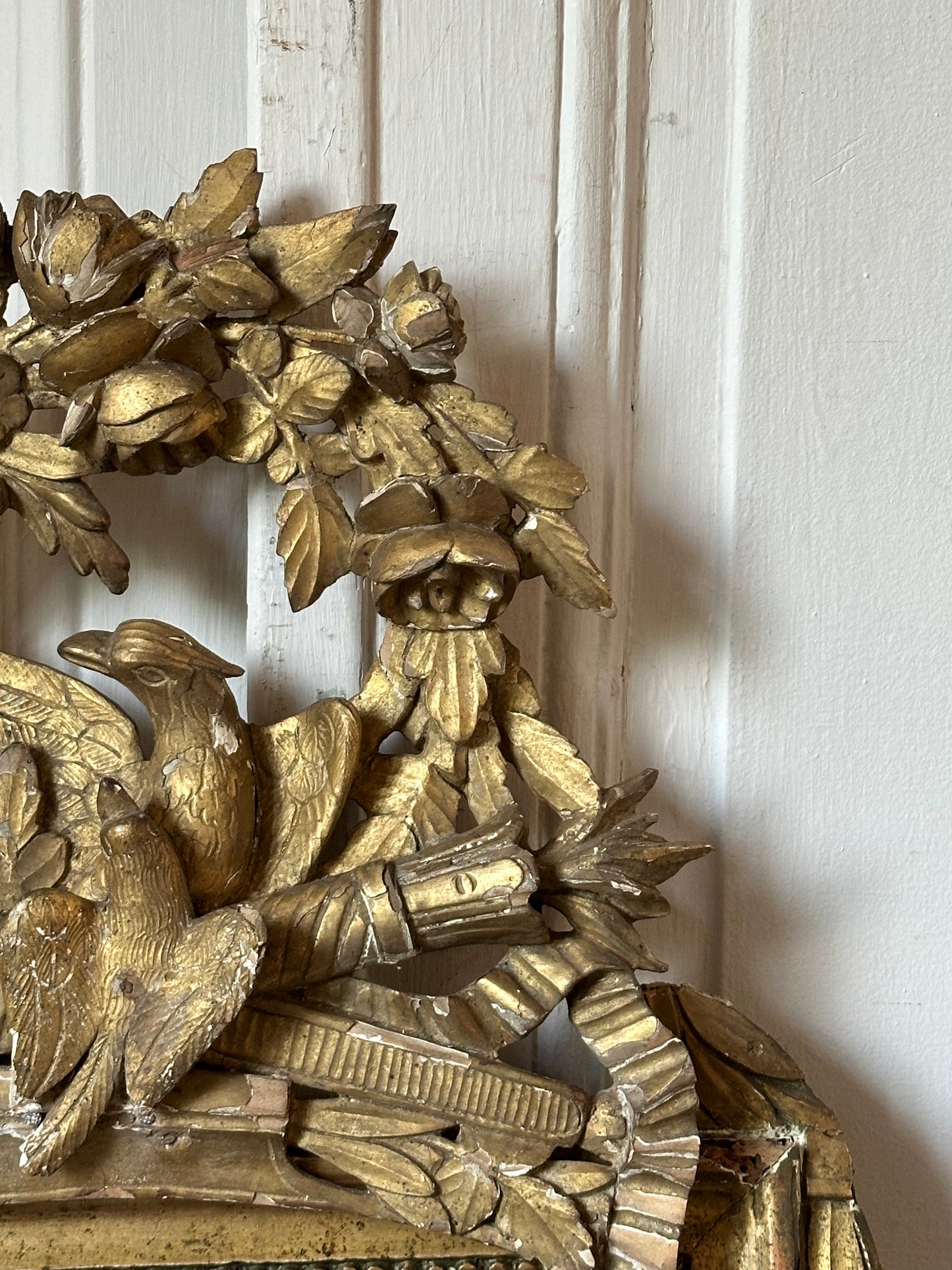 Miroir aux oiseaux