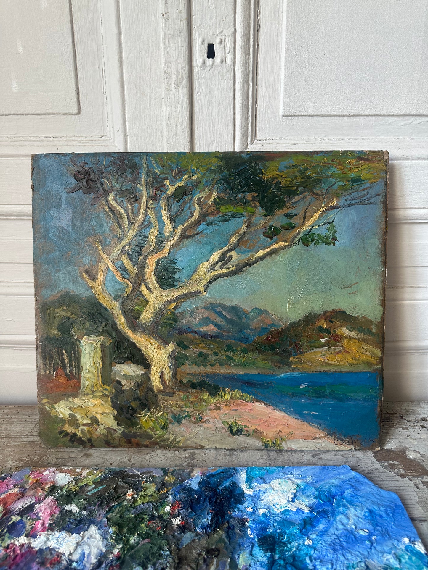 Palette Méditerranéenne
