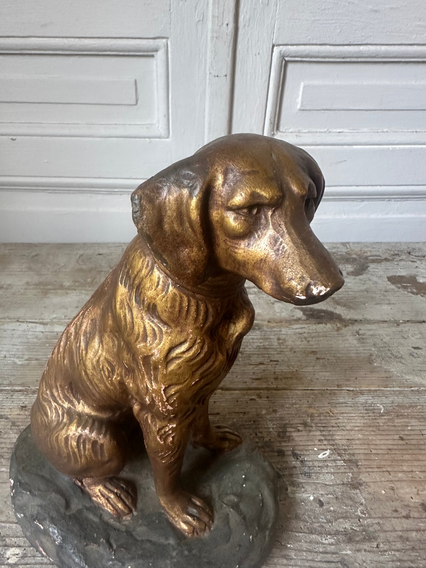 Chien en plâtre