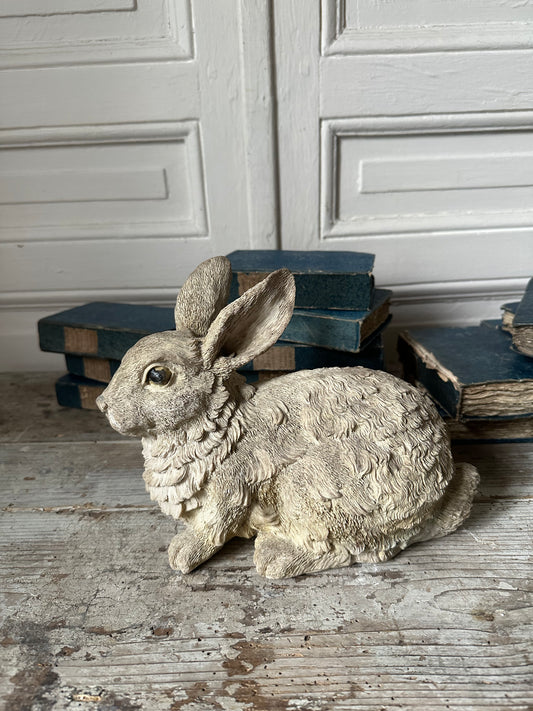 Lapin