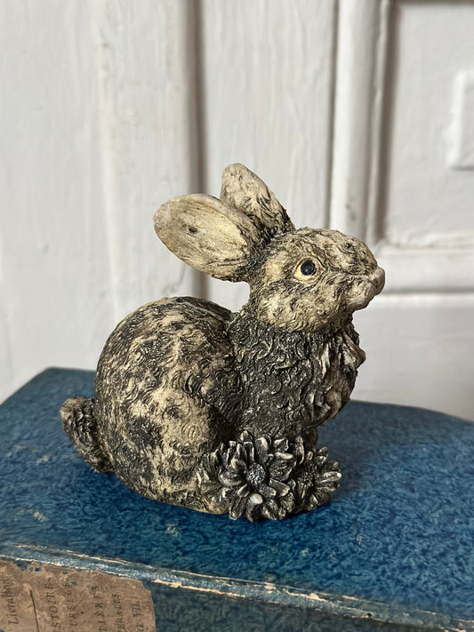 Petit lapin