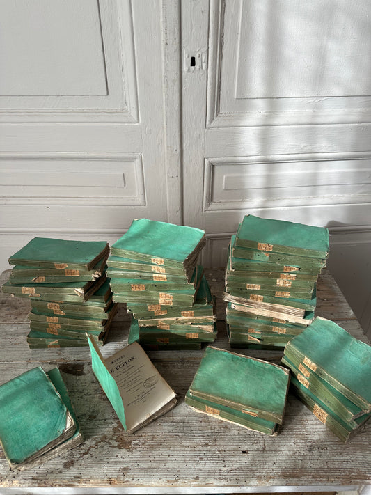 Buffon