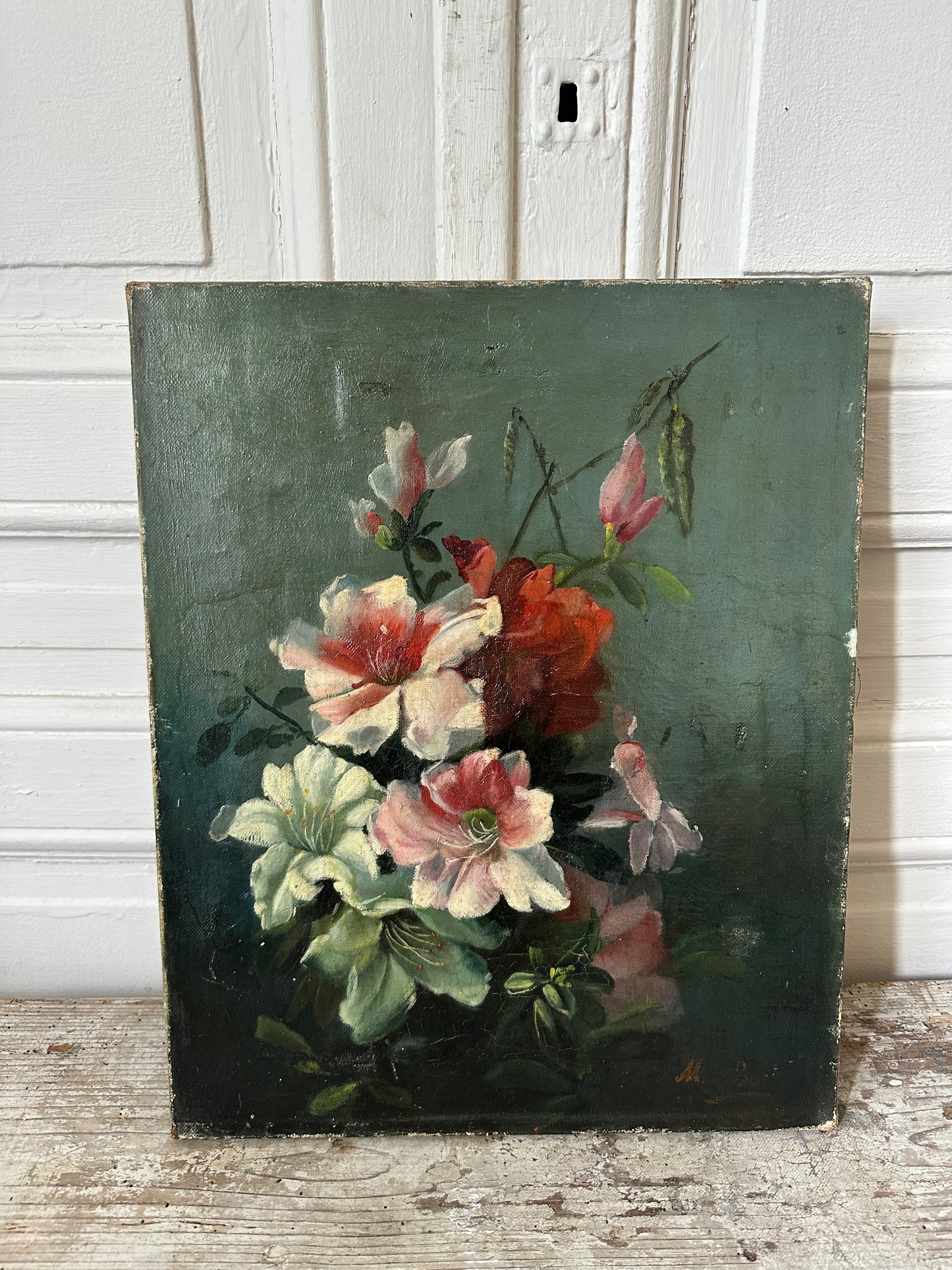 Hibiscus