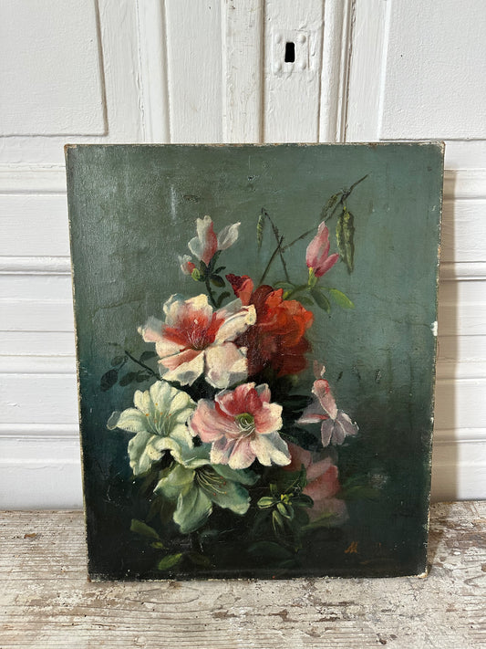 Hibiscus