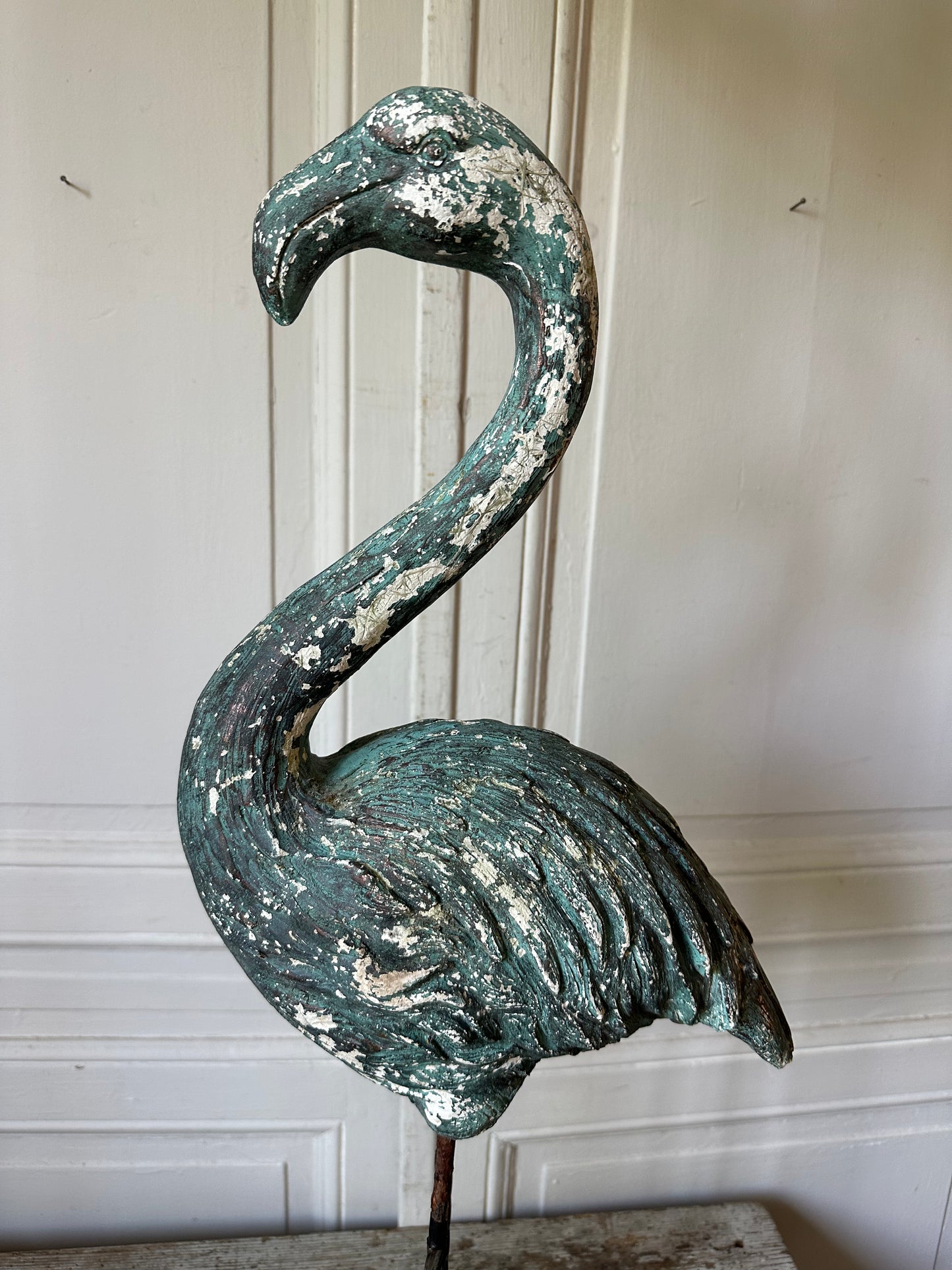 Flamand rose