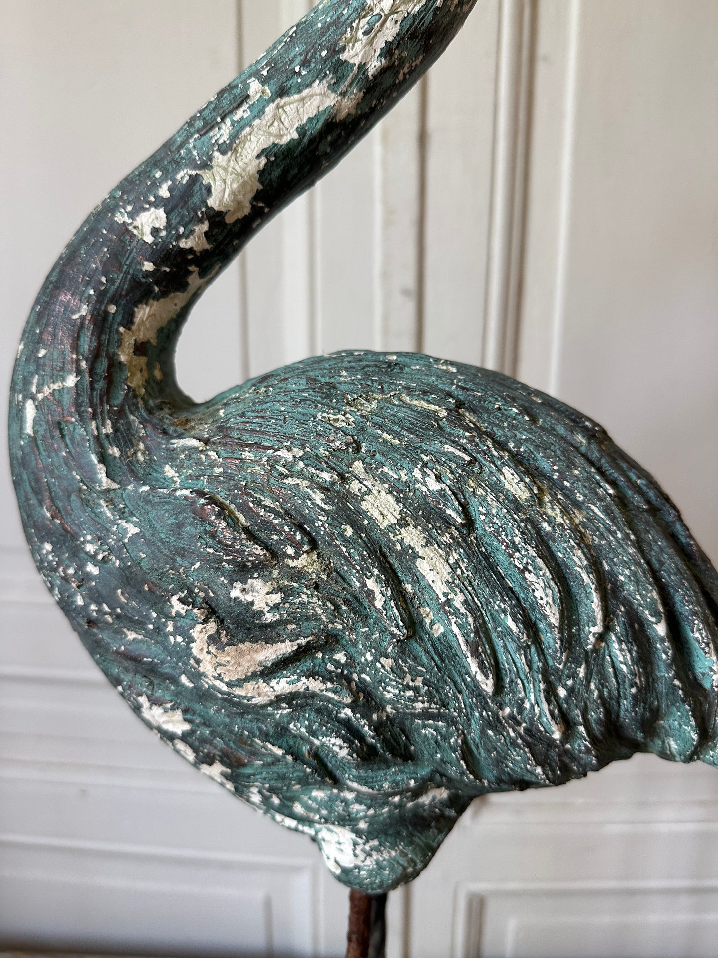 Flamand rose