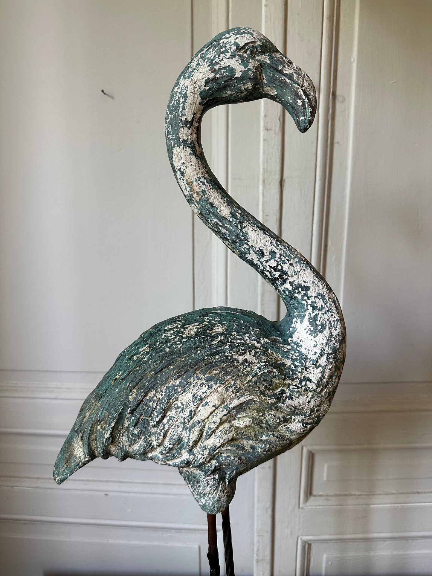 Flamand rose