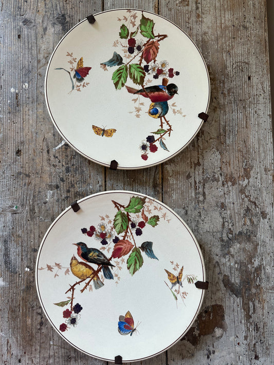 Plats aux oiseaux