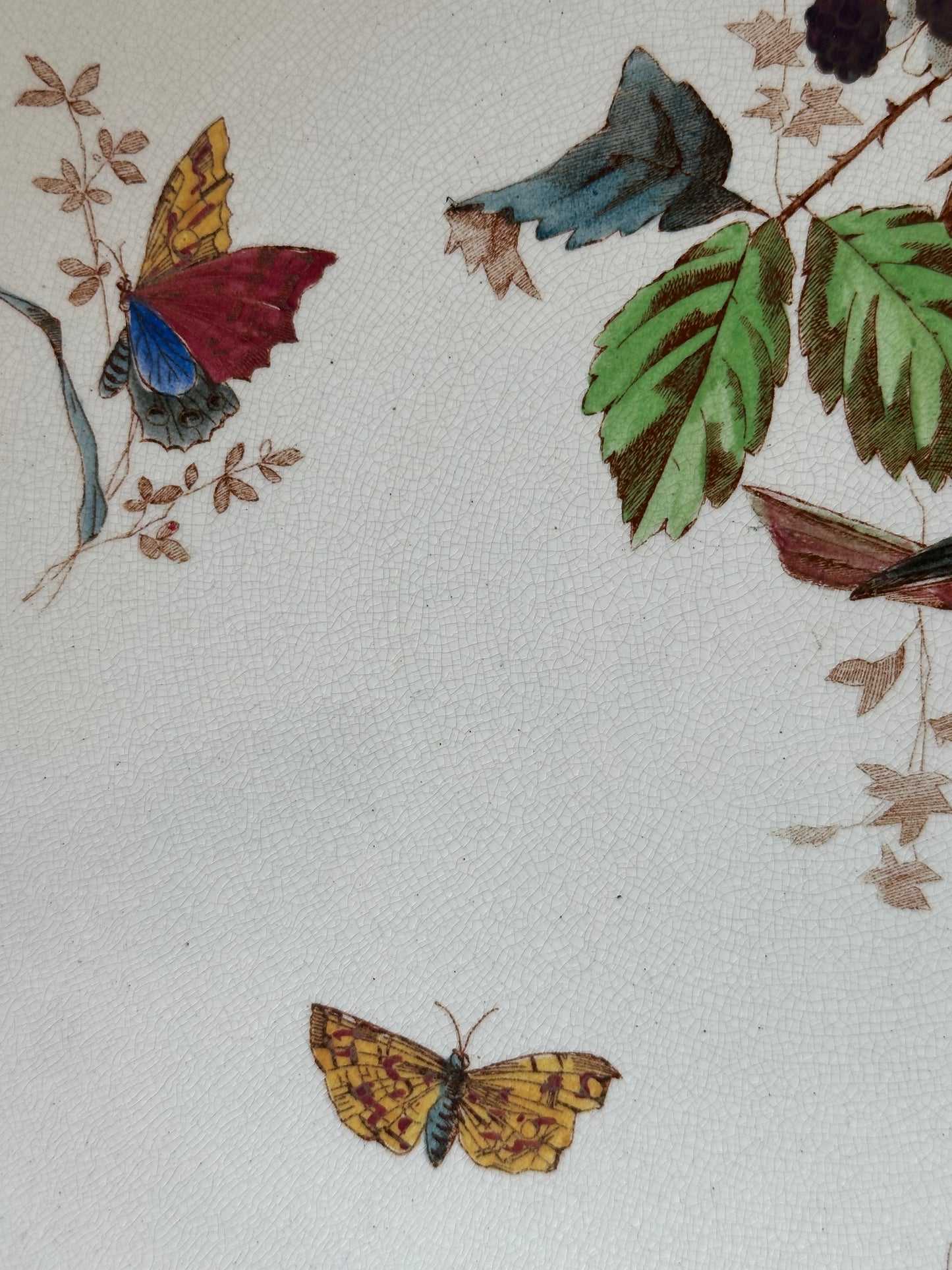 Plats aux oiseaux