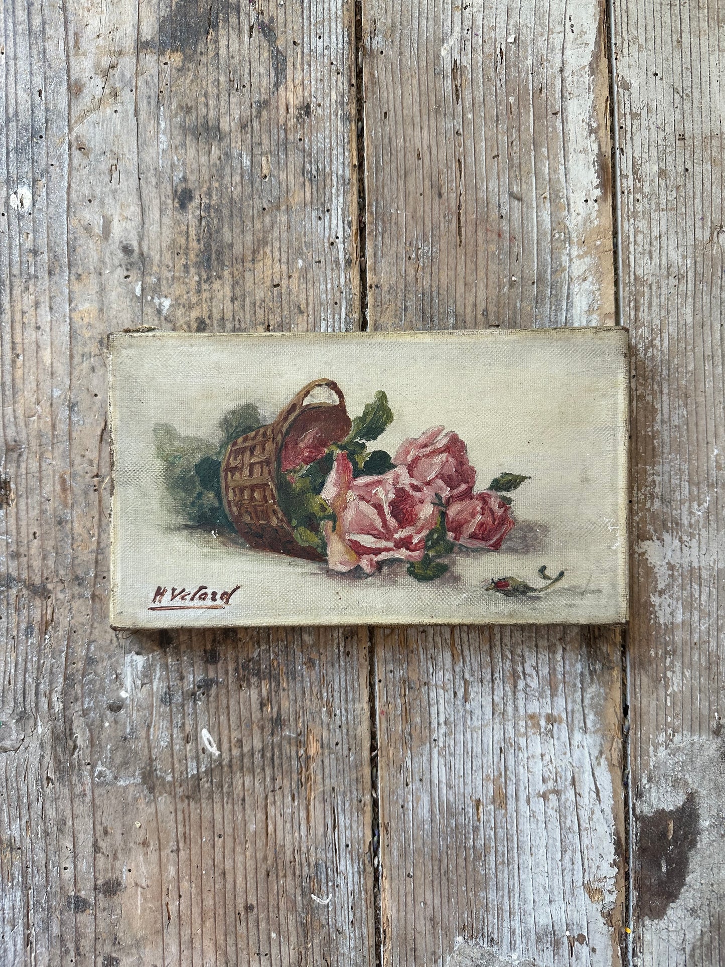Le panier de rose