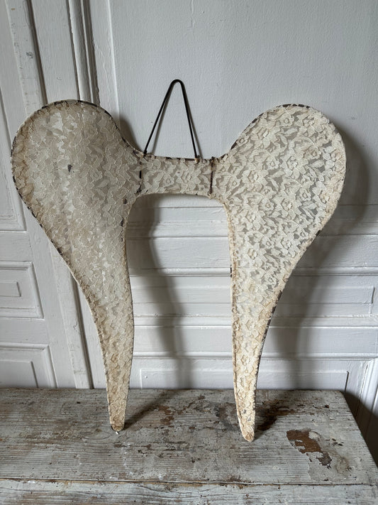 Ailes d’ange