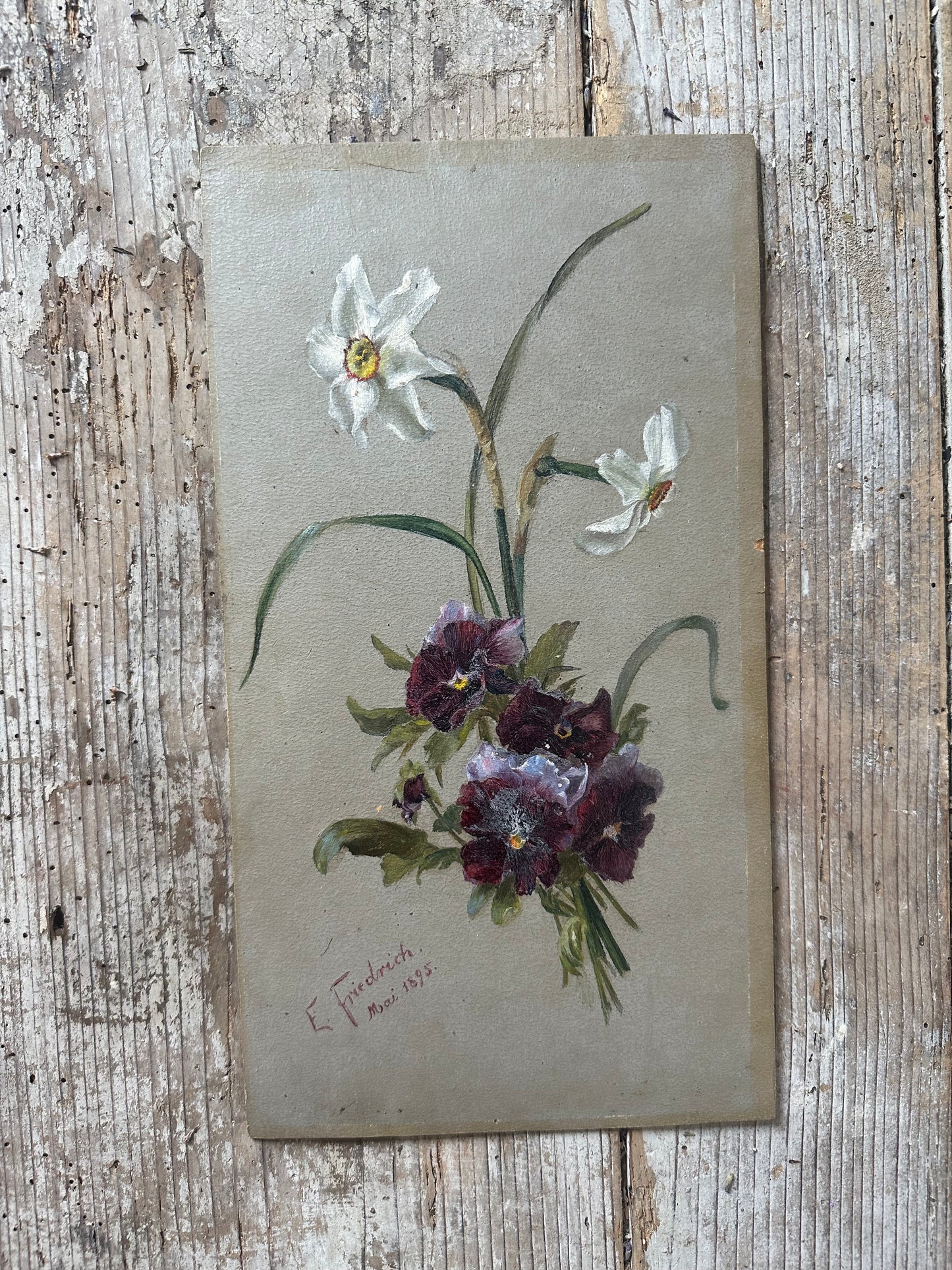 Narcisses et pensées