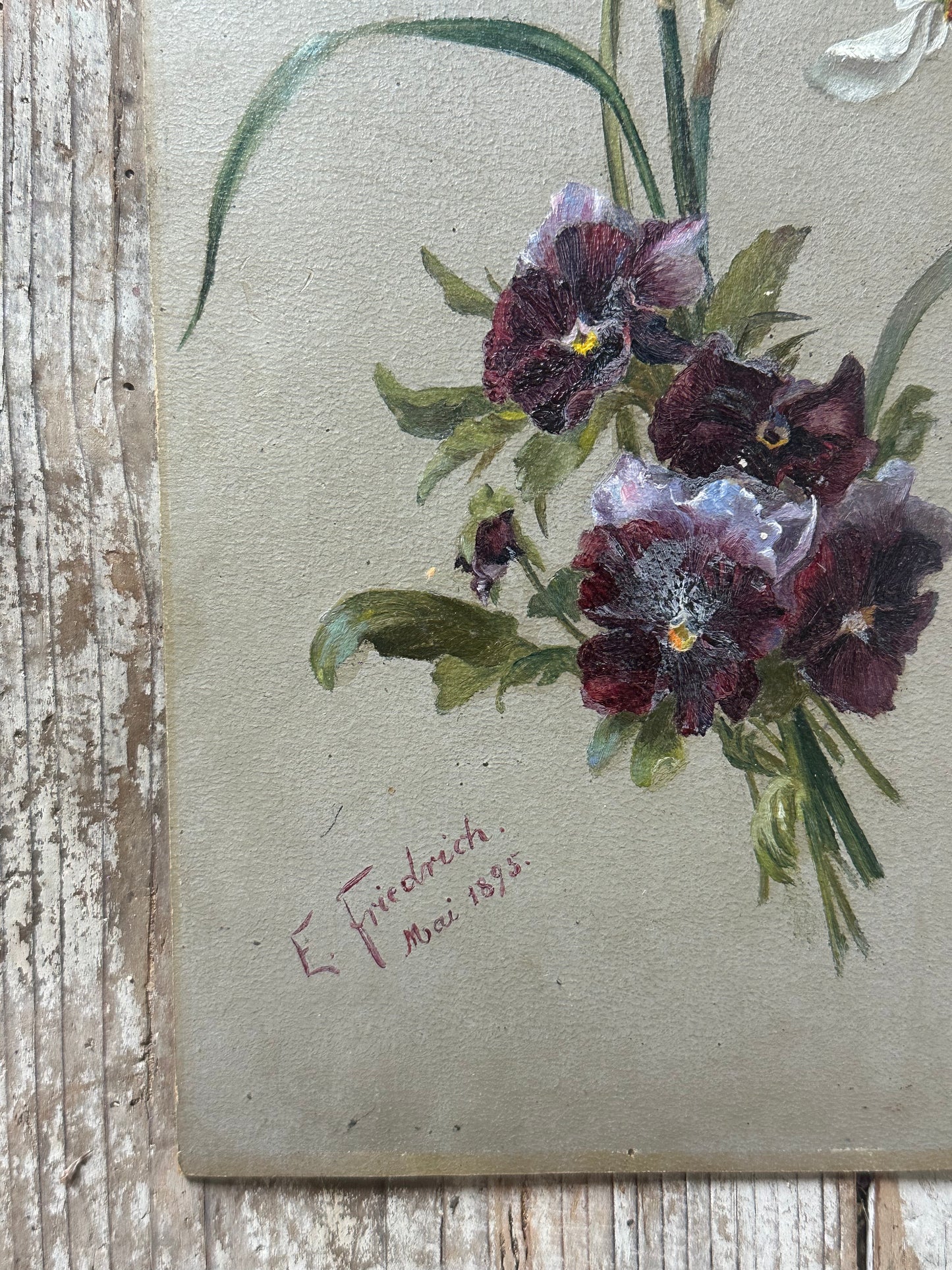 Narcisses et pensées