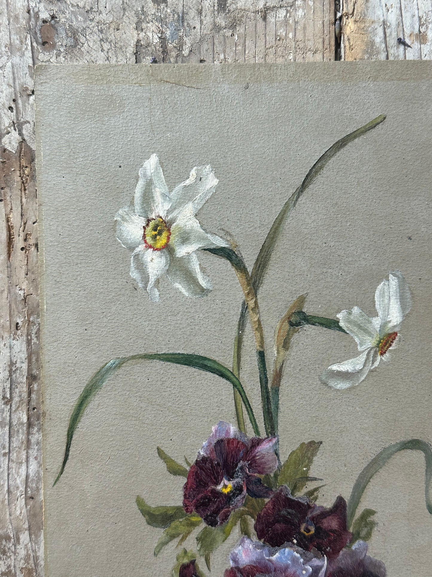 Narcisses et pensées