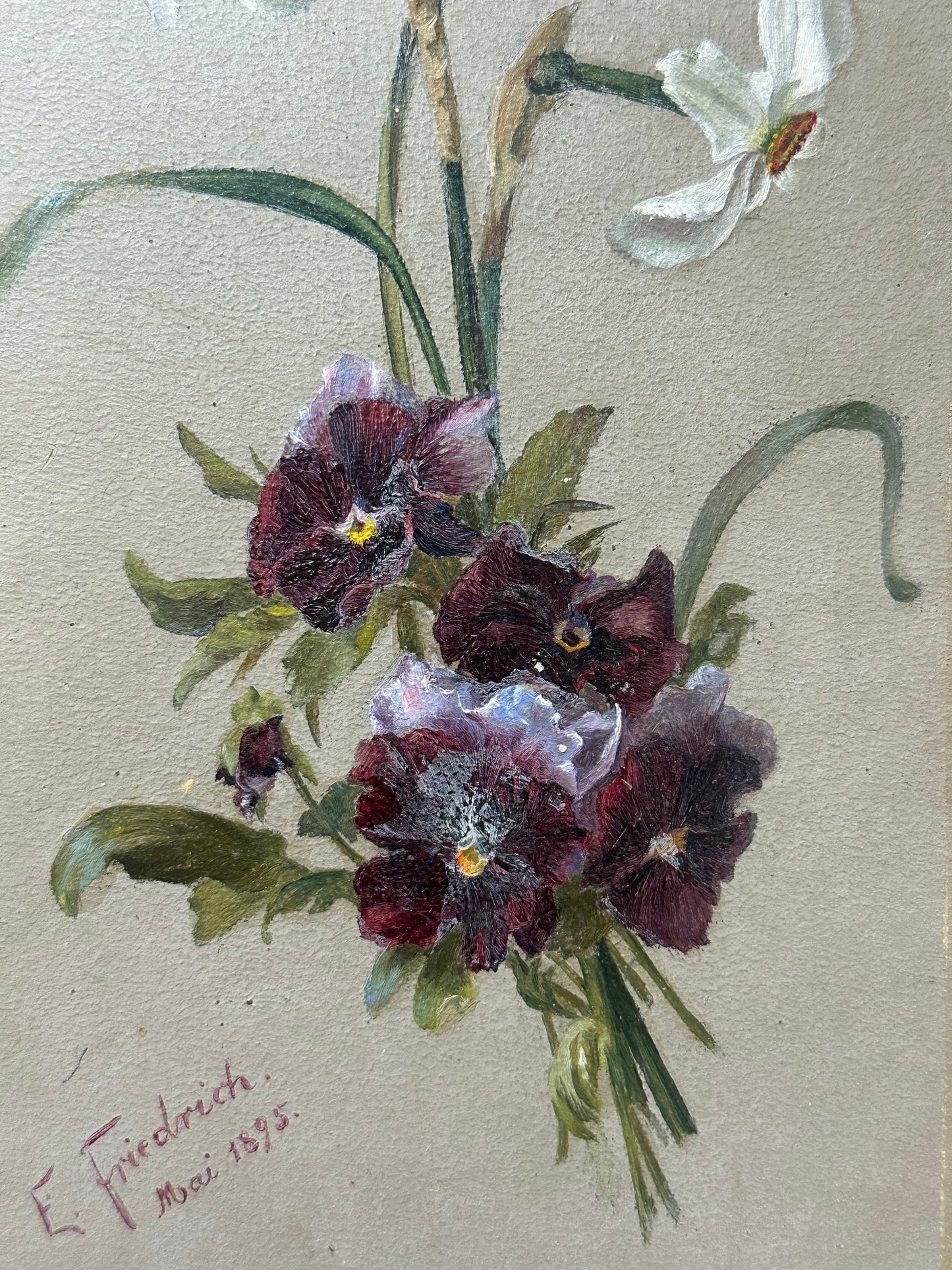 Narcisses et pensées