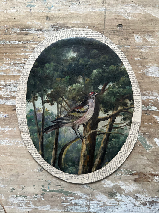Pinson des arbres