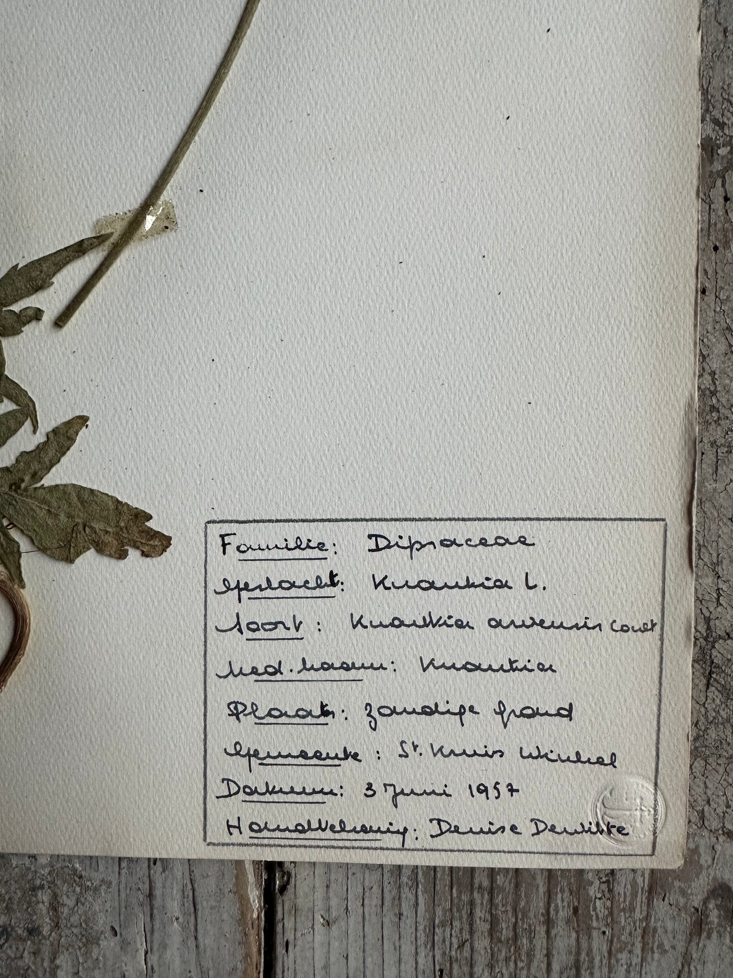 Herbier