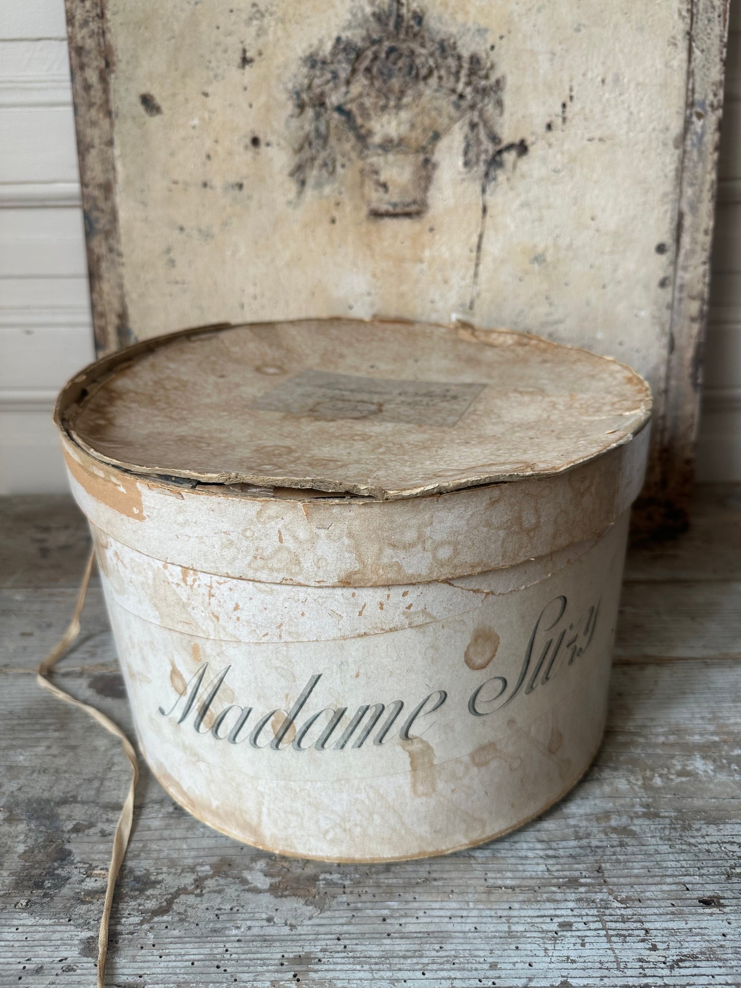Madame Suzy