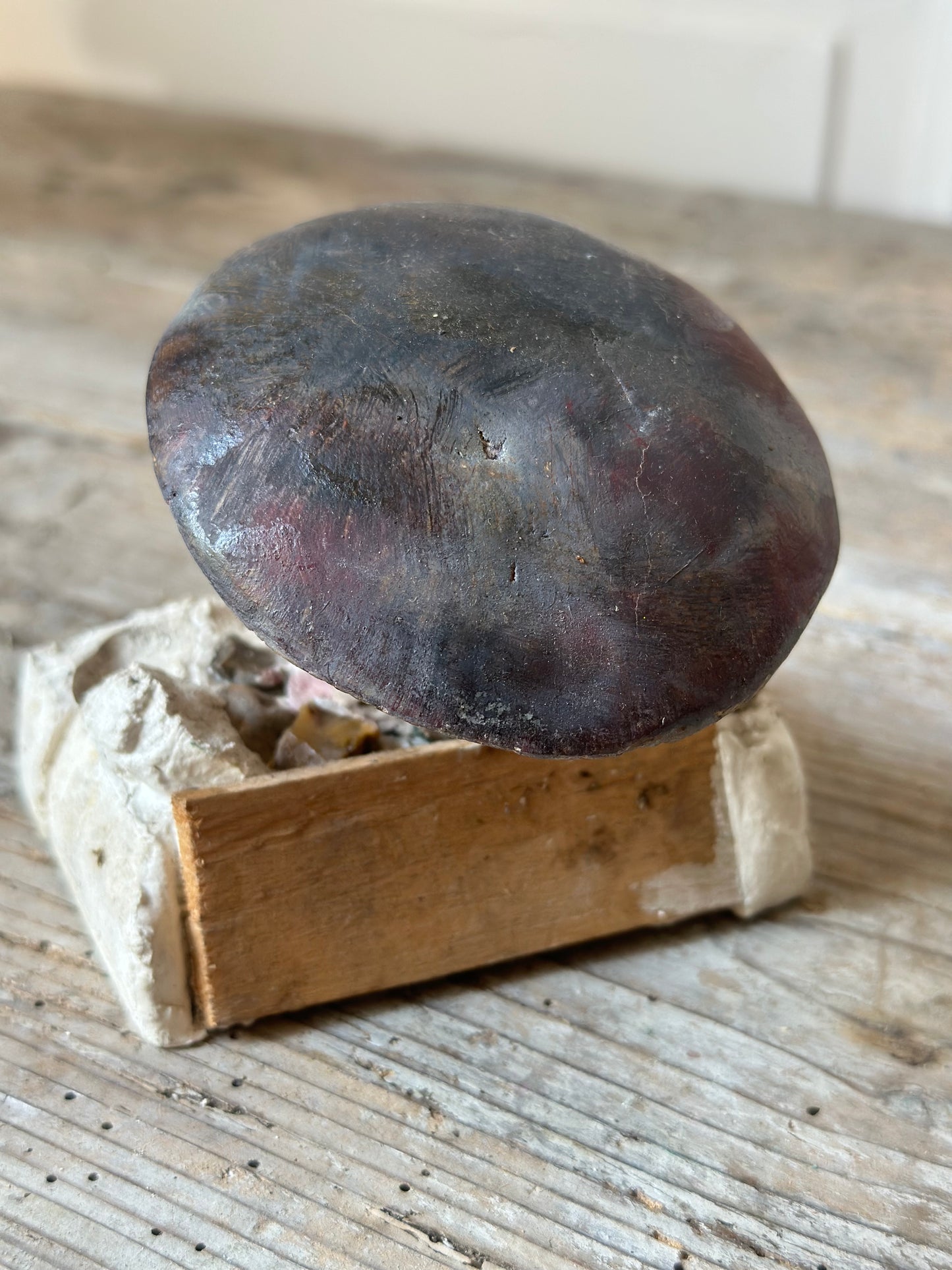 Russula