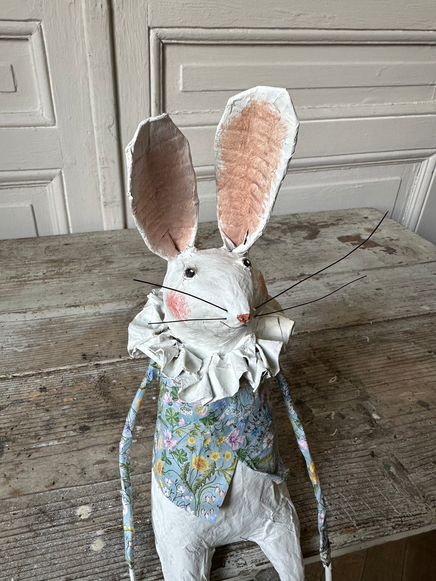 Lapin printanier