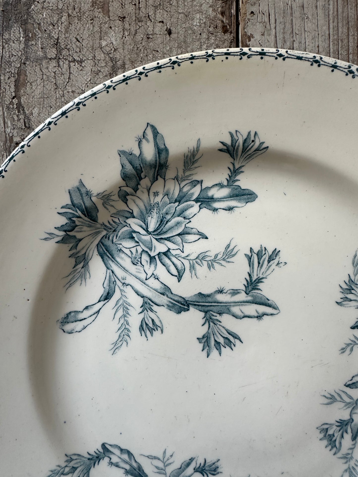 Plat à gâteau