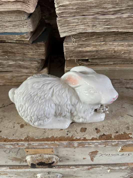 Lapin