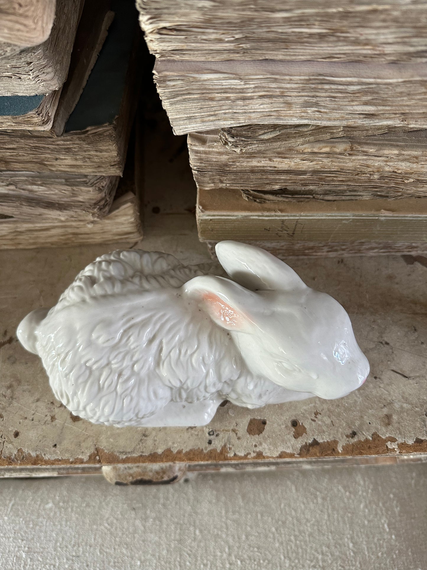 Lapin