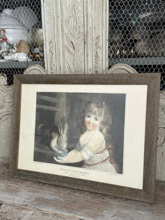 The favorite rabbit