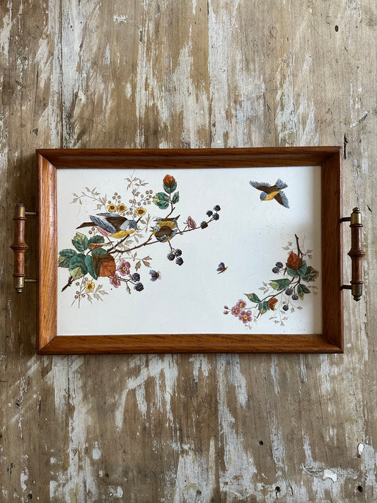 Plateau aux oiseaux
