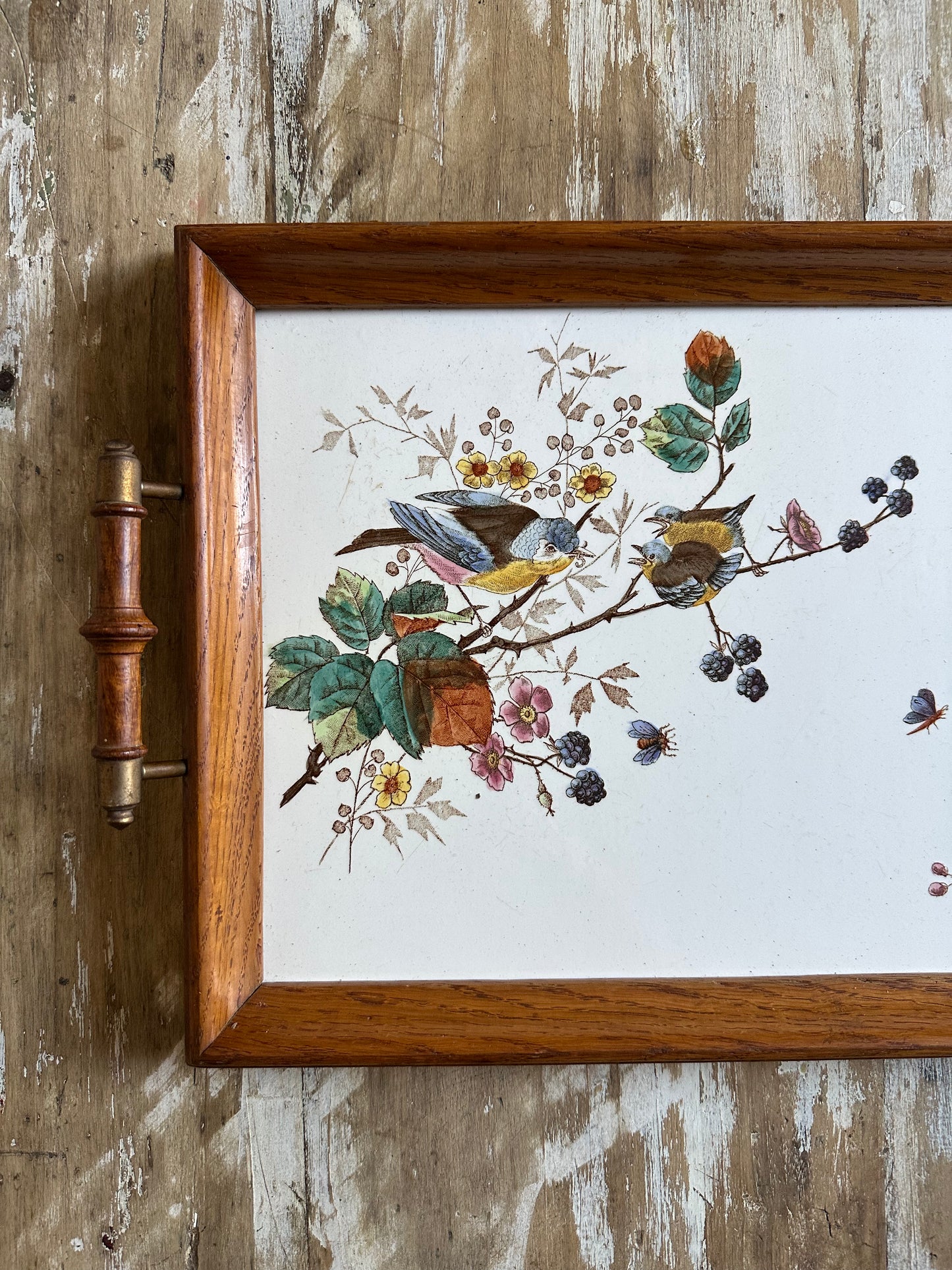 Plateau aux oiseaux