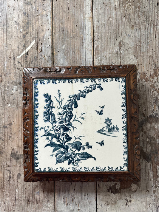 Digitales et papillons