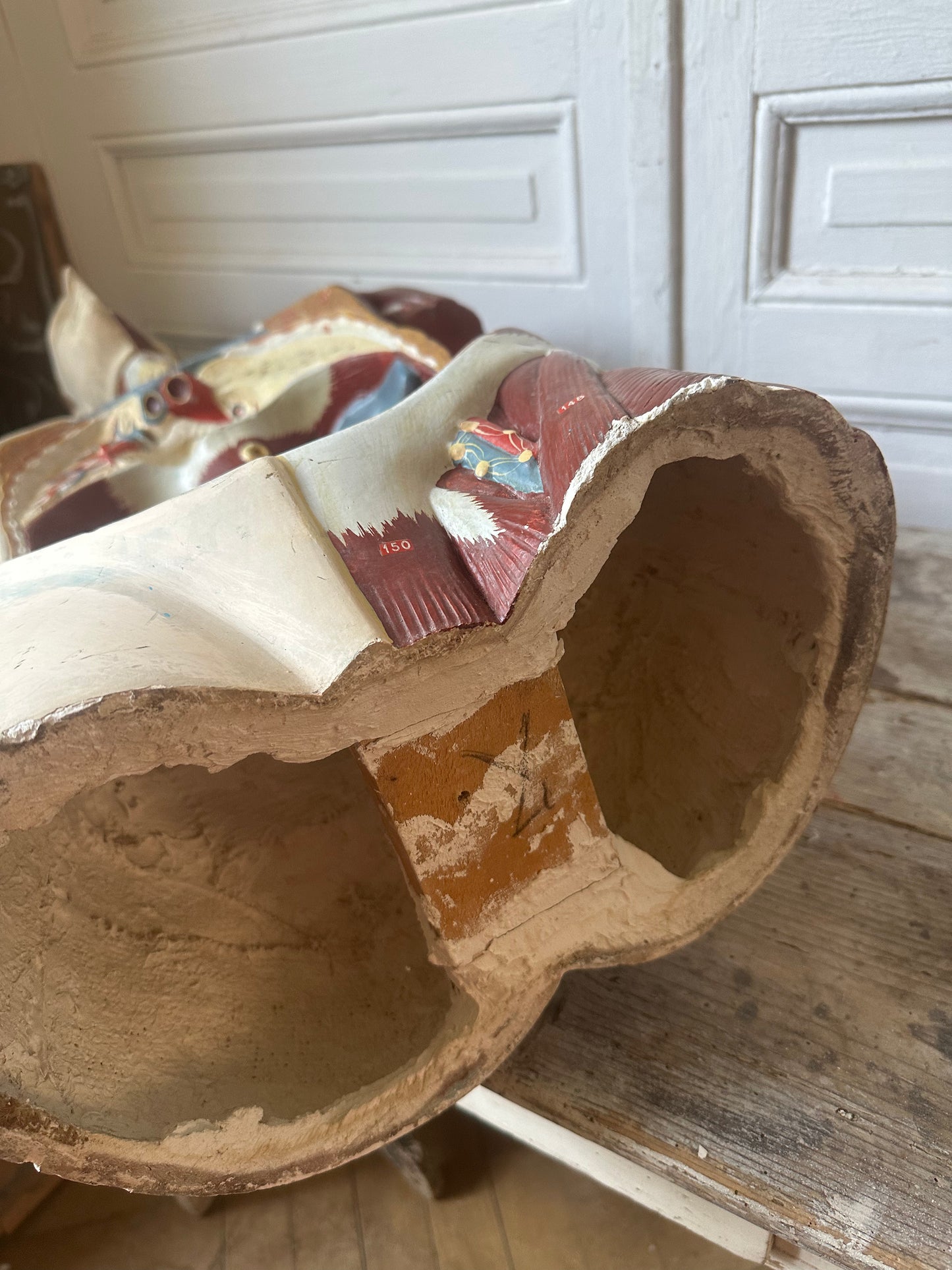 Écorché en plâtre