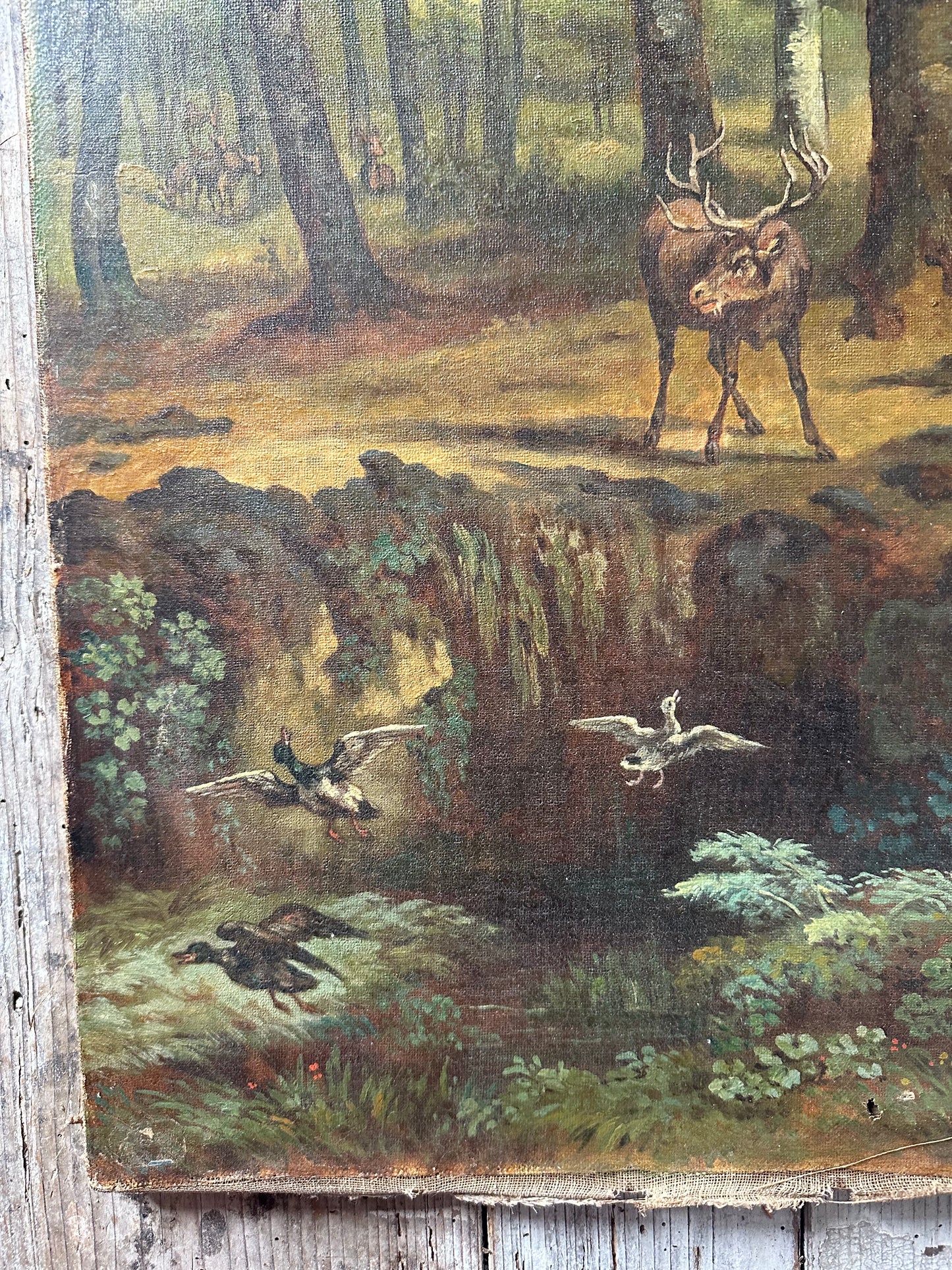 Le cerf
