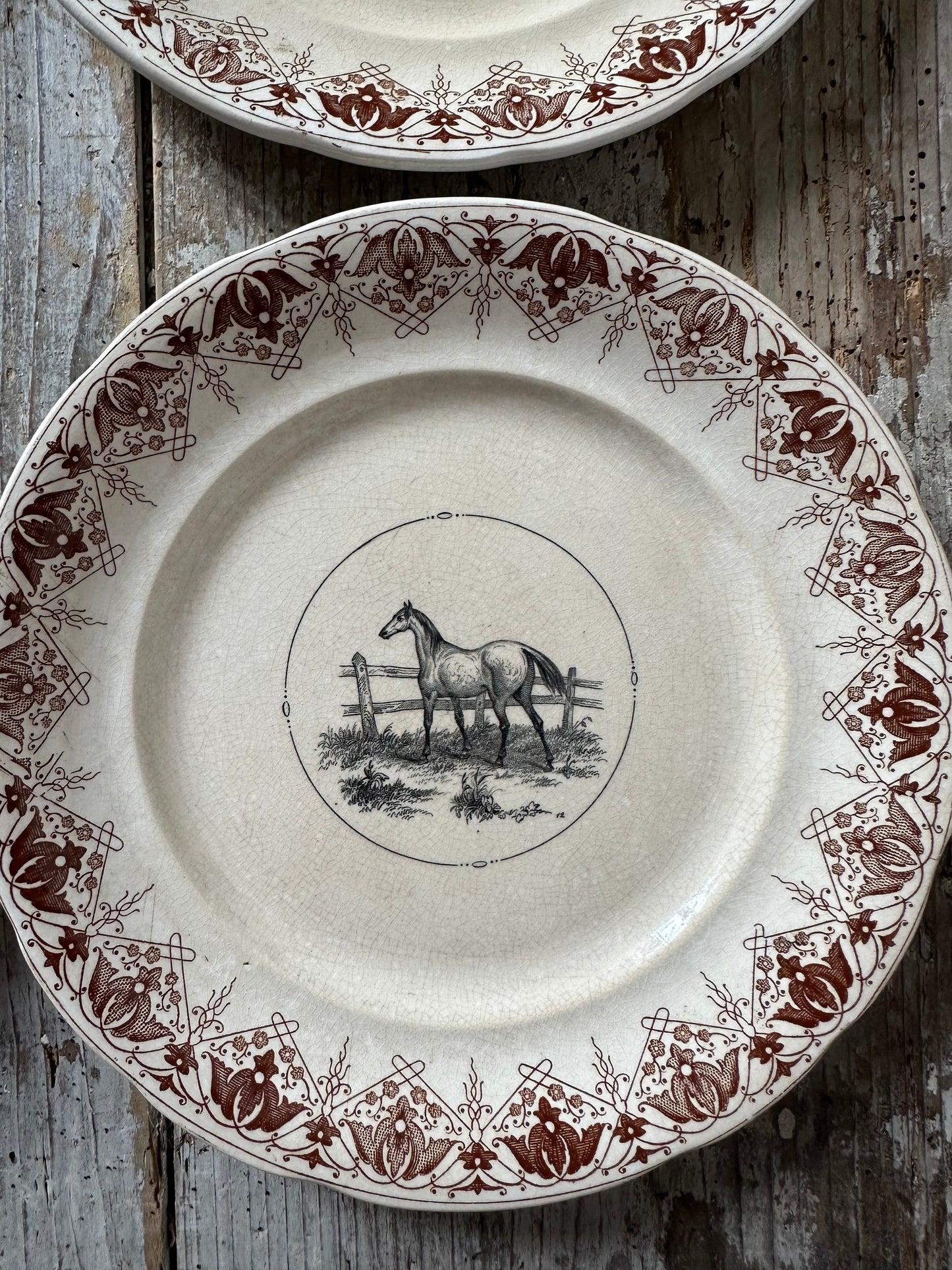 Assiettes décors équestre
